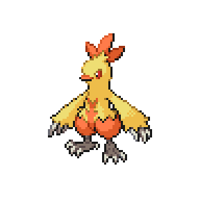 Combusken Sprite Image