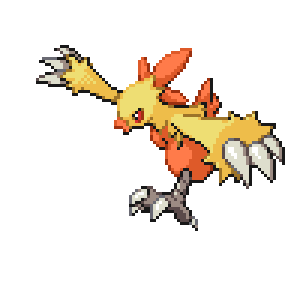 Combusken Sprite Image