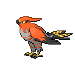 Talonflame Sprite Image