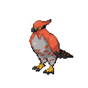 Talonflame Sprite Image