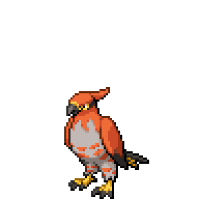 Talonflame Sprite Image