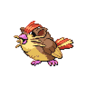Pidgeicate Sprite Image