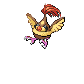 Pidgesly Sprite Image