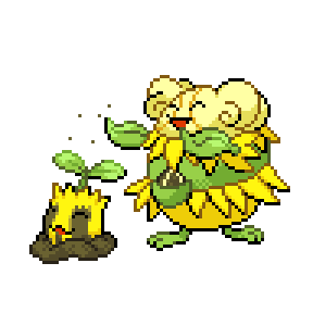 Sunsey Sprite Image