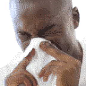 Honchxew Sprite Image