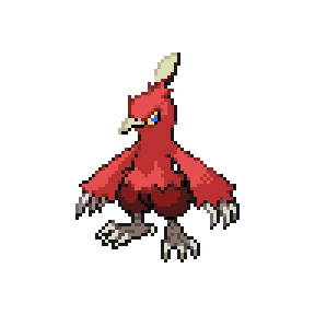 Combusken Sprite Image