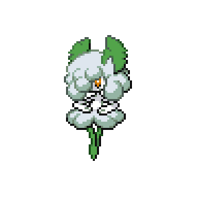 Cottonlia Sprite Image