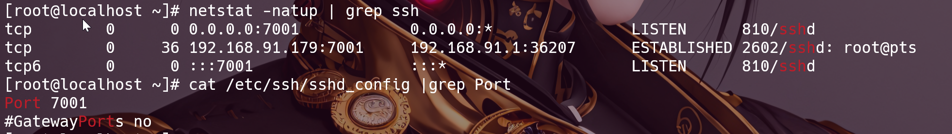 image-20231120191434554