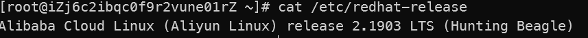WindowsTerminal_a8QjnI7rPi