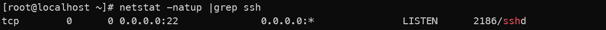 WindowsTerminal_qjgz2eBphz