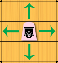 RookDiagram