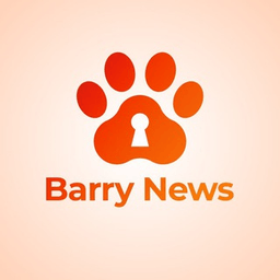 Barry VPN
