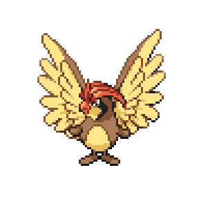 Pidgeoom Sprite Image