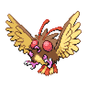 Pidgenat Sprite Image