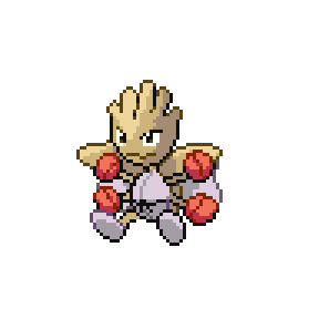 Pokémon sprite 107.166