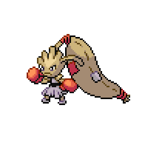 Pokémon sprite 107.300