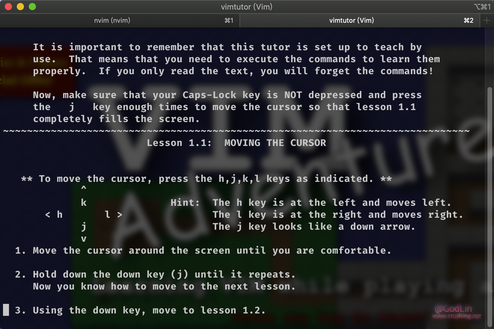 image-20200728225111148