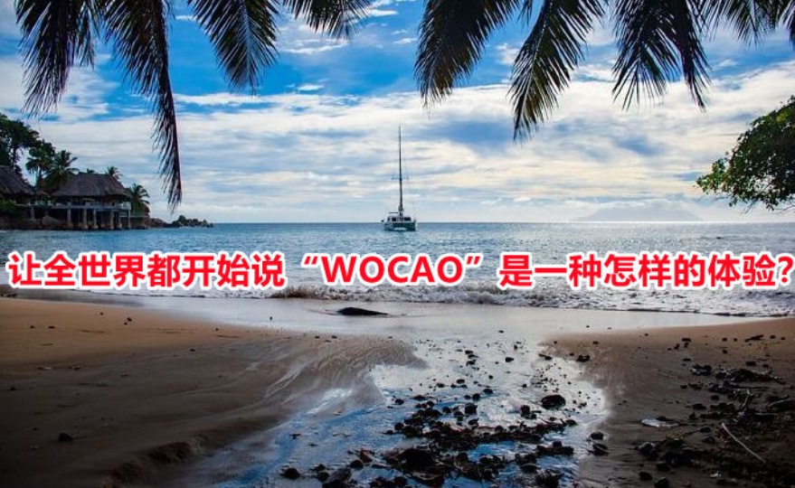 你无法想象让全世界都开始说“WOCAO”是什么感觉？