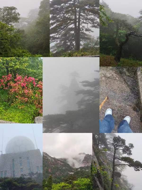 huangshan2.jpg