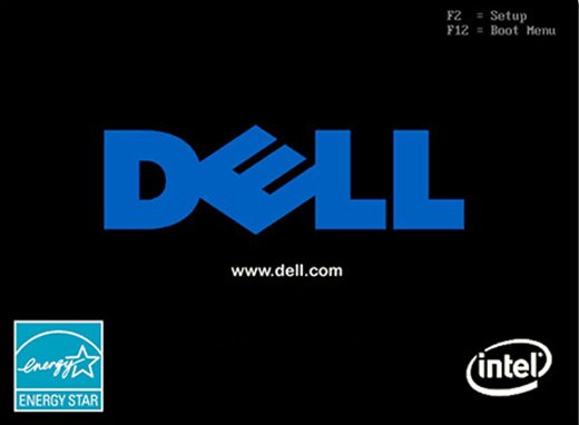 DELL welcome screen