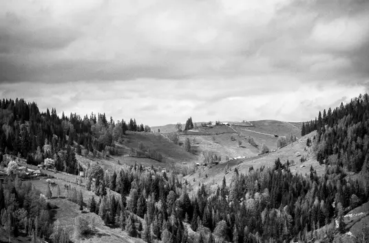 补充:情态动词的用法