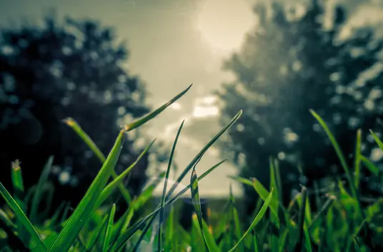 状语及时间状语从句