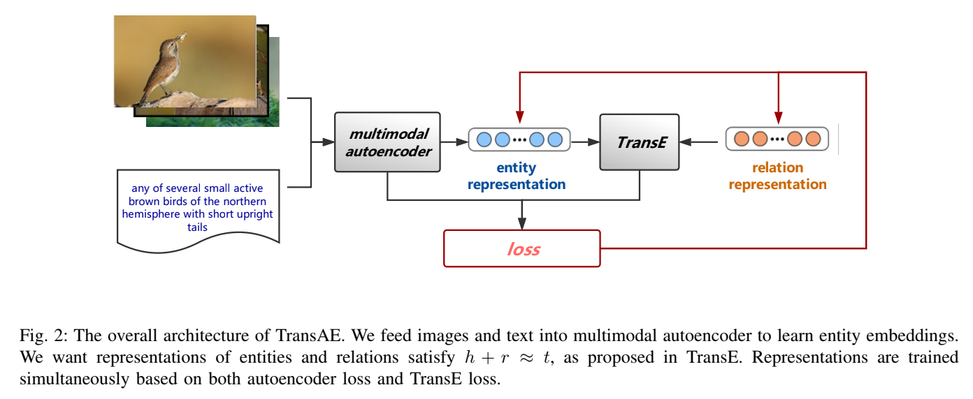 TransAE 整体架构示意图