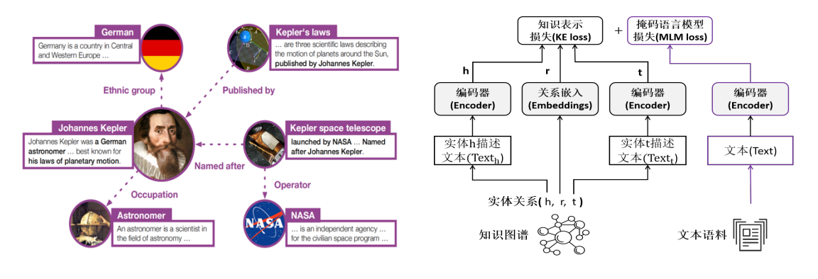 含文本描述的知识图谱例子（左），KEPLER 框架（右）