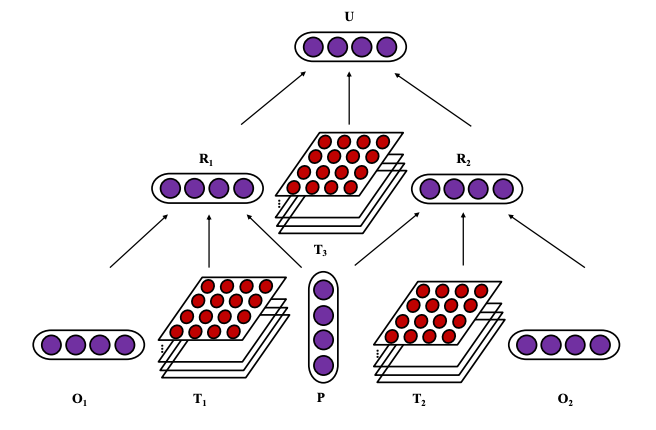 张量神经网络结构