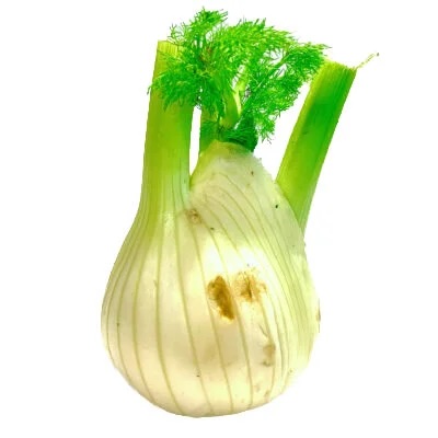 Fenchel