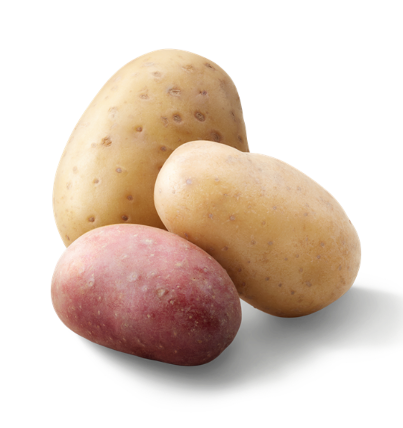 Kartoffel