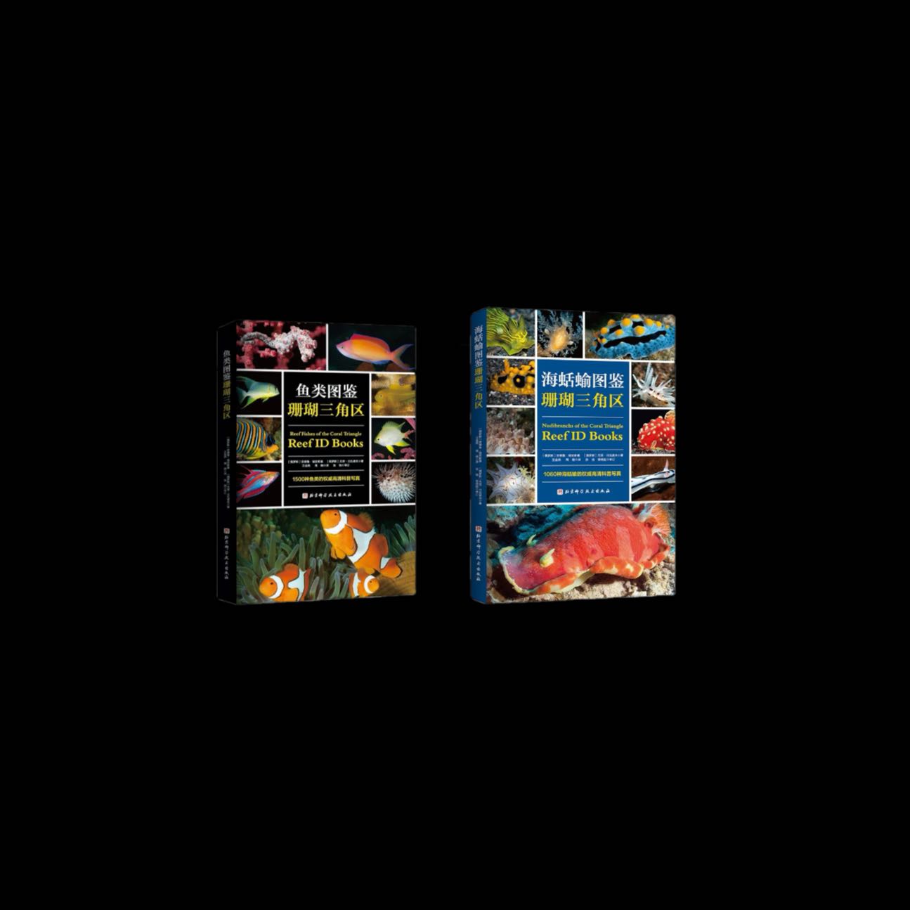 A screen shot of Theme Cupertino