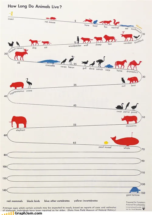animals_Image_infographic_-_4539059968.webp