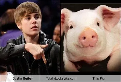 animals_Image_justin_bieber_-_4535826432.webp