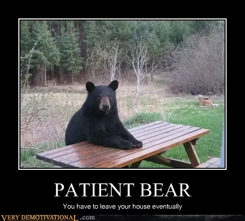 animals_Image_leave_Terrifying_-_5704698112.webp