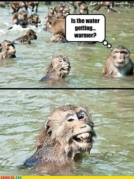 animals_Image_monkeys_pee_-_5828398848.webp
