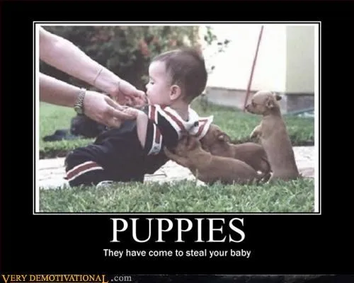 animals_hilarious_Terrifying_-_3142991360.webp