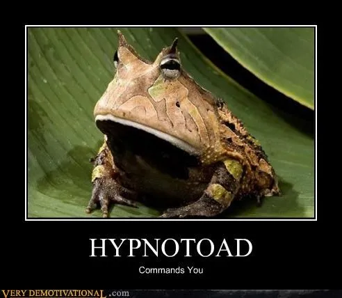 animals_hypnotoad_Terrifying_-_4024876544.webp