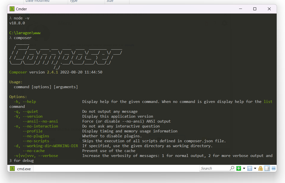 tes run command composer
