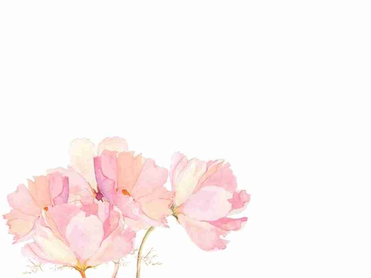 古典风PPT模板 - '花语诗韵'系列