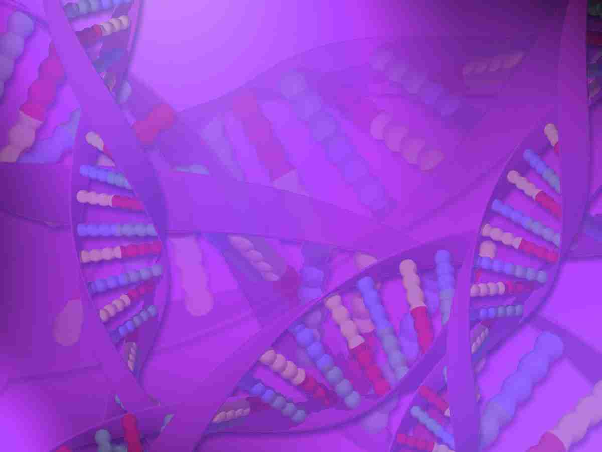 探索生命密码 —— 科学研究主题PPT模板