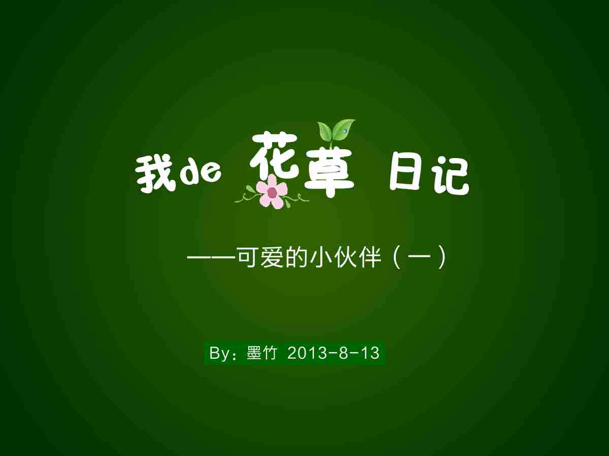 合掌草：大自然的馈赠