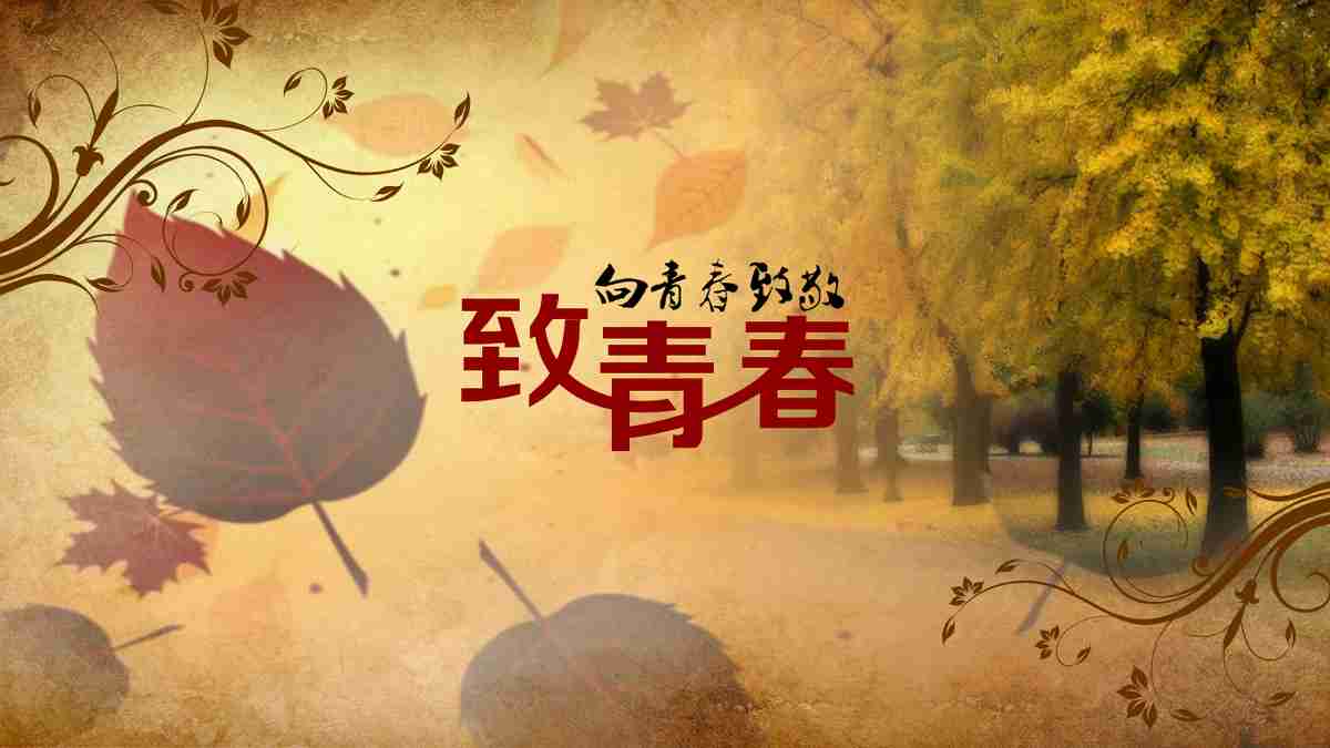 致青春——毕业季回忆录