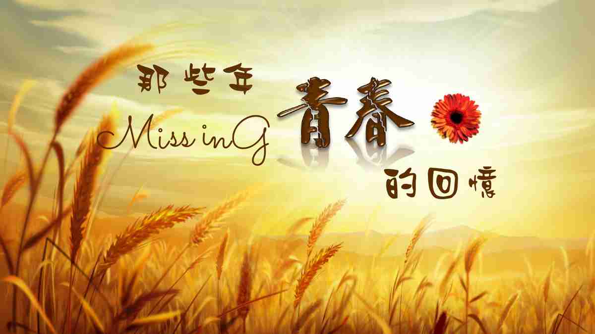 青春回忆录：那些年的点点滴滴