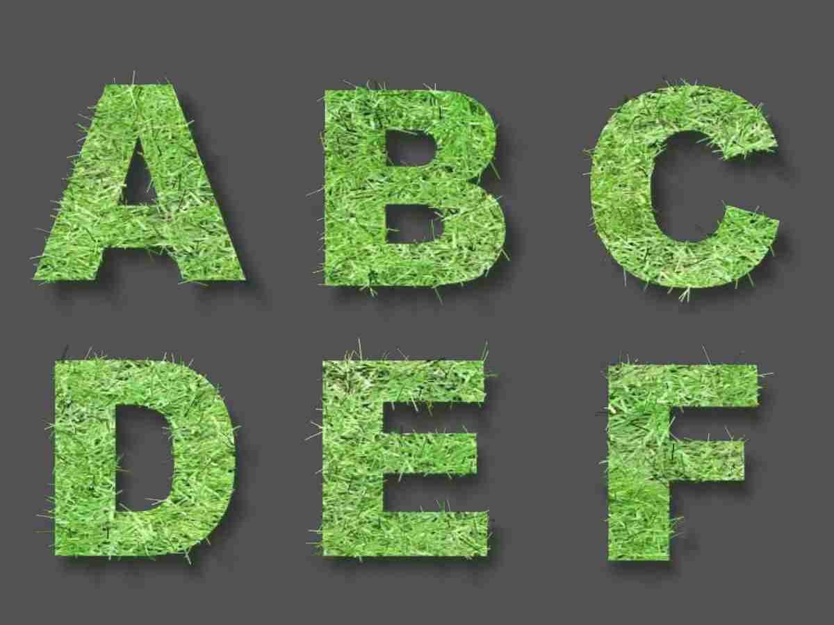 绿野仙踪自然风PPT模板