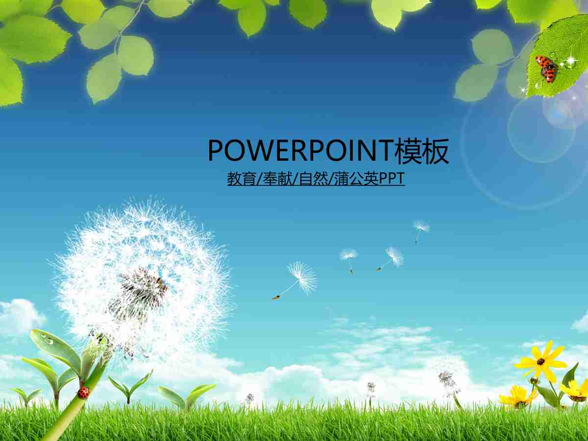 商务风PPT模板：专业与创意兼备