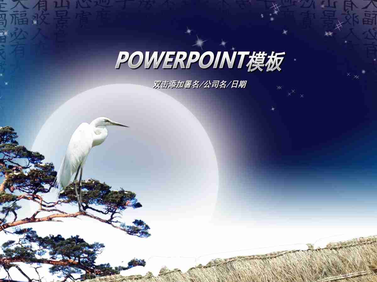 商务风PPT模板：专业与效率并存