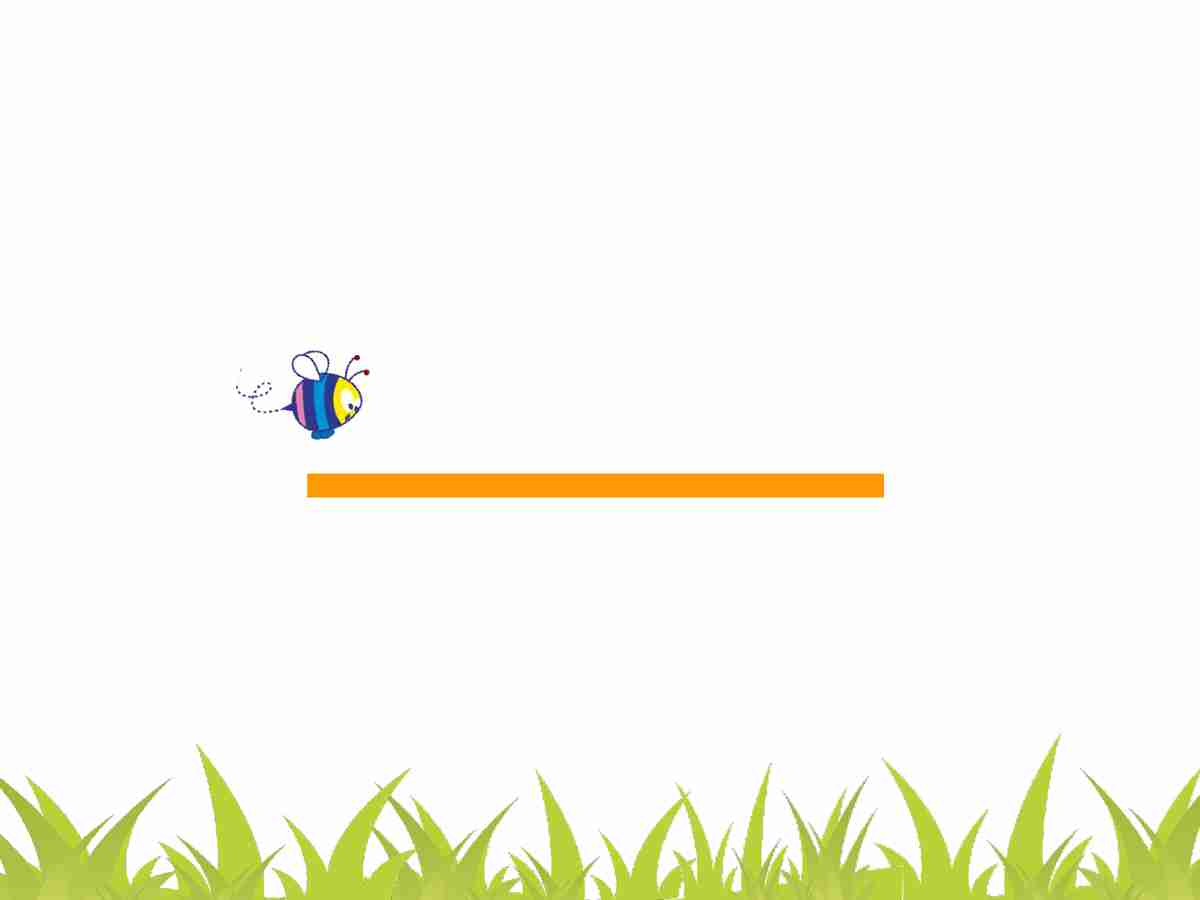 动物主题PPT模板