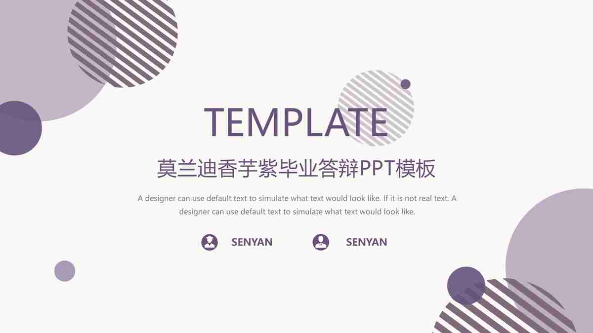 商务会议与策略规划 PPT 模板