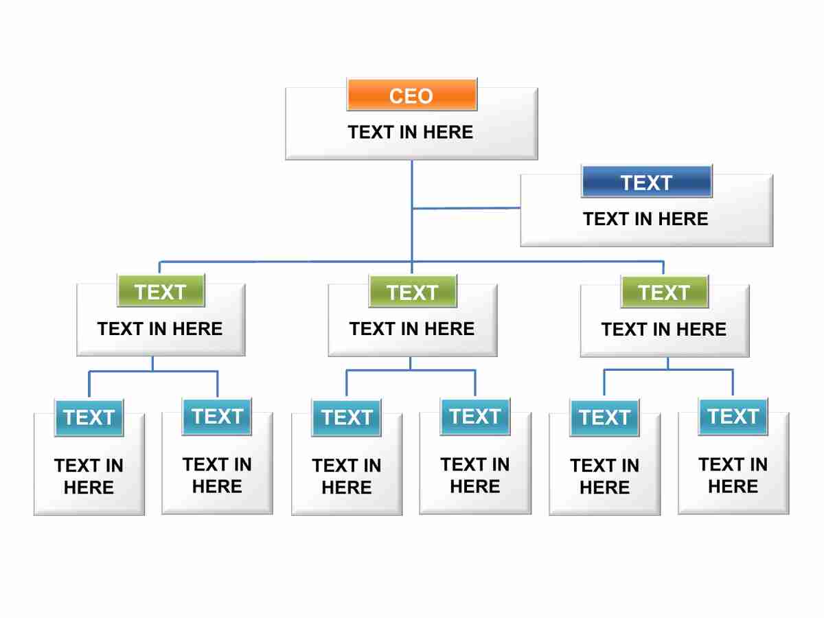 企业组织架构图